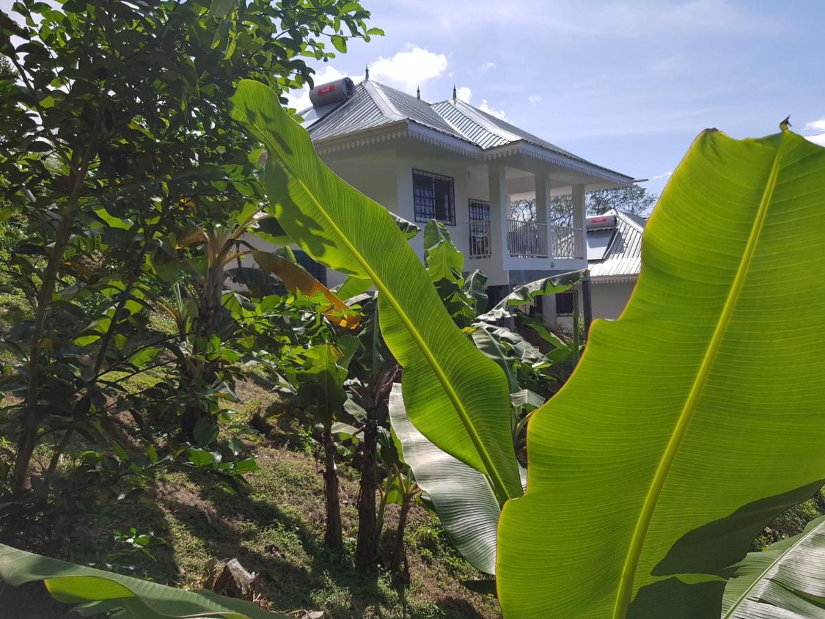 Chepsted Chalets Glacis  Екстер'єр фото